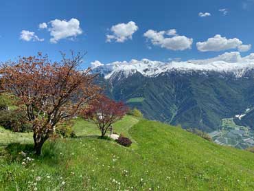 The Meran High Route Trek