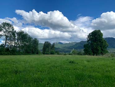 The Camino,the Way of St. James