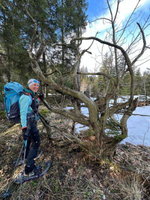 Stopping to admire a natural sculpture
