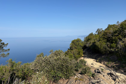 Coastal hiking trail near Monterosso al Mare with green vegetation and a view of the blue Ligurian Sea.