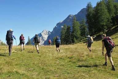 A group of women hiking across a sunlit alpine meadow