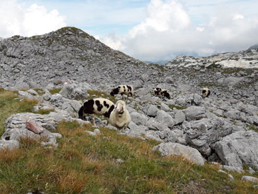 Berchtesgaden National Park & Steinernes Meer