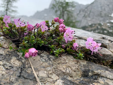 Berchtesgaden National Park