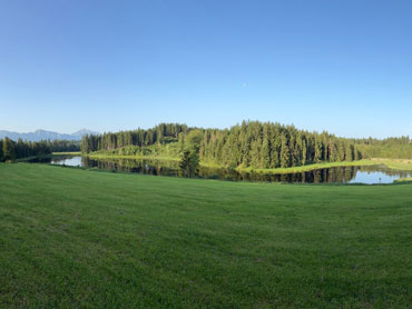 Forest bathing and exploring nature on our Women's Wilderness Weekend