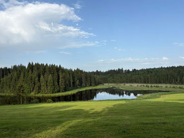 Forest bathing and exploring nature on our Women's Wilderness Weekend