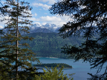 View from Jochberg summit over Lake Walchensee in the Bavarian Alps framed by pine trees, with turquoise water and snow-capped peaks in the distance – captured during a guided hike.