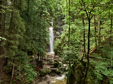 Waterfall in the Bavarian Alps surrounded by lush green forest, captured along a guided nature hike near Kochelsee – typical scenery of Four Elements outdoor tours.