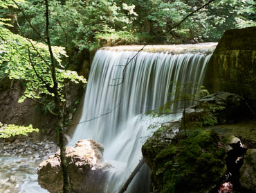 Waterfall in the Bavarian Alps cascading over moss-covered rocks surrounded by lush green forest – captured during a guided nature hike near Kochelsee.