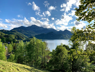 Scenic view over Lake Kochelsee in the Bavarian Alps with green hills, forest and mountain peaks under a bright blue sky – captured during a guided nature hike near Kochelsee.