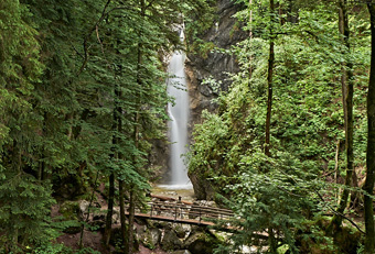 Waterfall in the Bavarian Alps surrounded by lush green forest, captured along a guided nature hike near Kochelsee – typical scenery of Four Elements outdoor tours.
