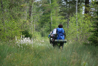 Young students in the forest