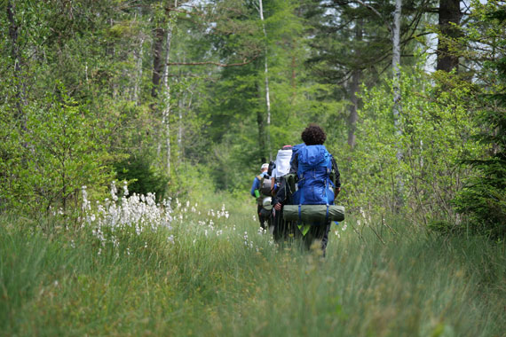 Group of teenagers in the forest