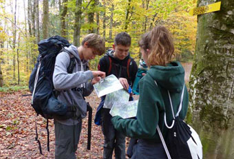 Young students in the forest