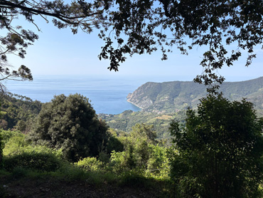 Panoramic view of the Ligurian coastline framed by tree branches with green hills and blue sea under a clear sky