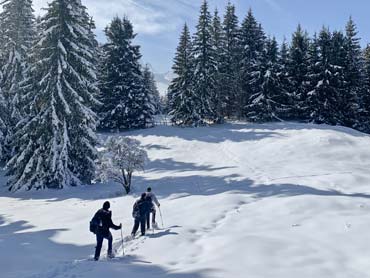 Snowshoeing in the Bavarian Alps