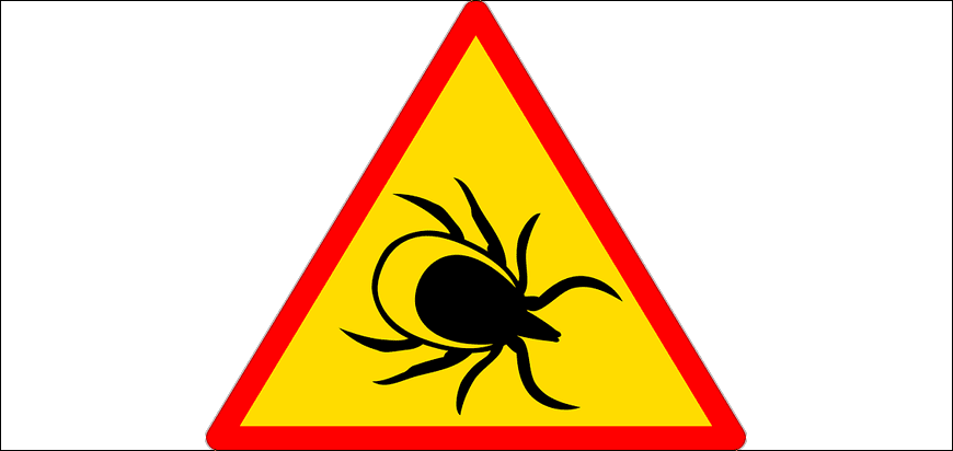 Ticks in Bavaria