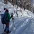 Snowshoe hikers