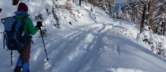 Snowshoe hikers