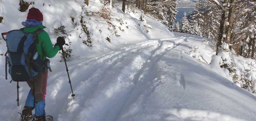 Snowshoe hikers