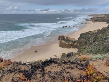 Raw and wild coastline with sandy beaches and rolling waves, creating a picturesque view