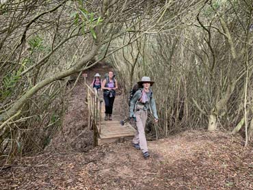 Three women walking through low forest along the Fishermens Trail