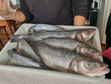 A waitress holding a tray of fresh fish in a restaurant