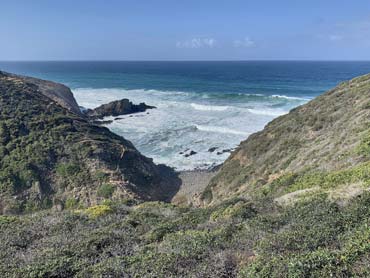 View down to stony beach and ocean, vegetation in foreground