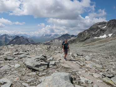 Wild Switzerland Trek