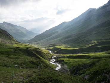 Wild Switzerland Trek