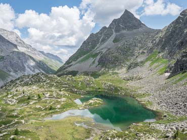 Wild Switzerland Trek