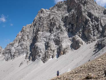 Wild Switzerland Trek