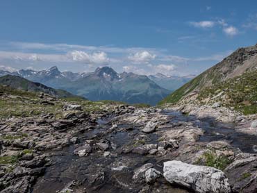 Wild Switzerland Trek