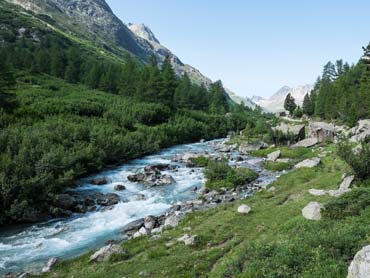 Wild Switzerland Trek