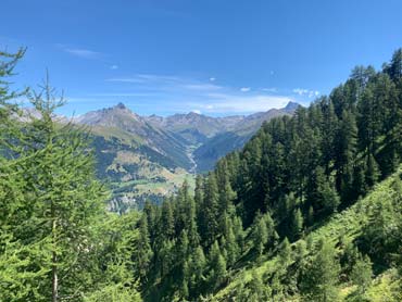 Wild Switzerland Trek